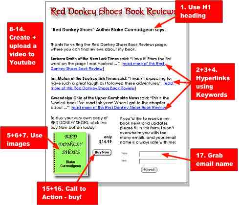 Follow the ficticious Red Donkey Shoes Book Reviews