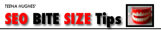 SEO BIT SIZE TIPS - Learn about Search Engine Optimization in small doses with Teena Hughes